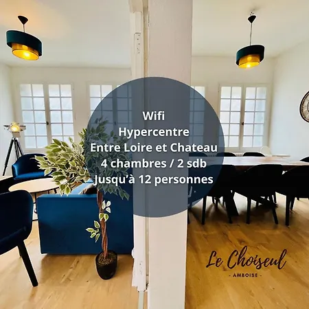 Le Choiseul - T5 Entre Loire Et Chateau Royal - Manoir De La Concorde Amboise Exterior photo