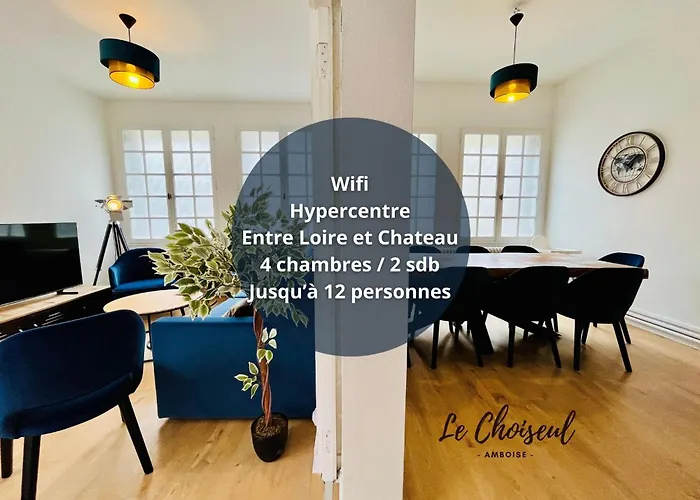 Le Choiseul - T5 Entre Loire Et Chateau Royal - Manoir De La Concorde