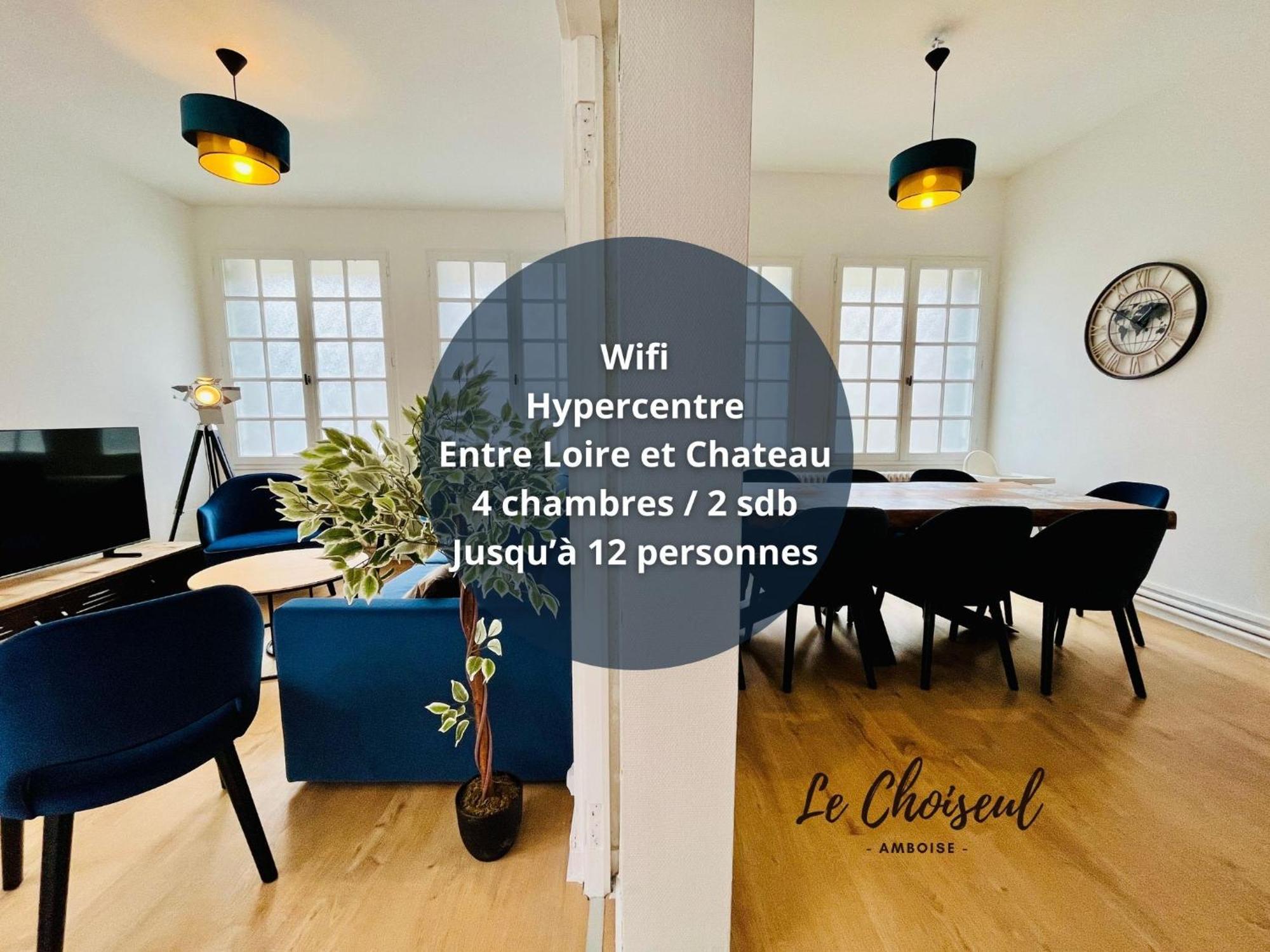 Le Choiseul - T5 Entre Loire Et Chateau Royal - Manoir De La Concorde